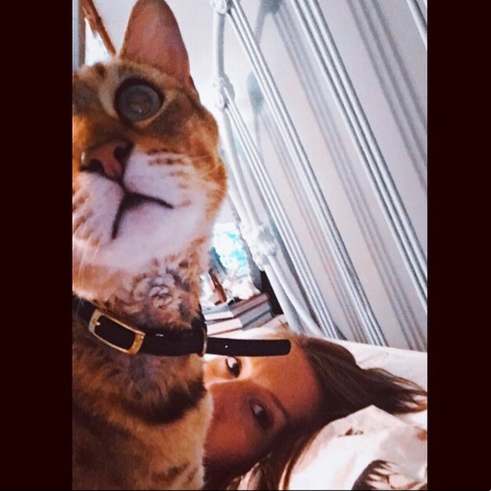 Meet your Posher, Holly